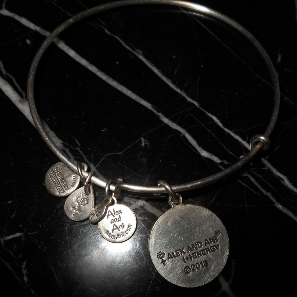 Alex And Ani Endless Loop Charm Silver Rafaeilian - Picture 4 of 8